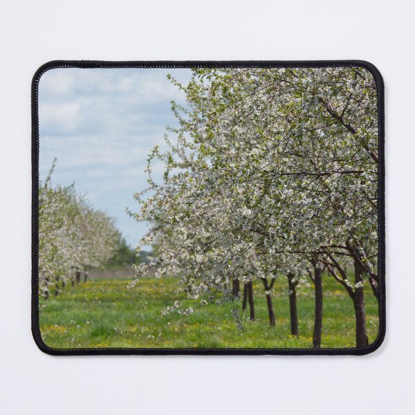 Item preview, Blossom Time designed and sold by TeresaYoung9.
