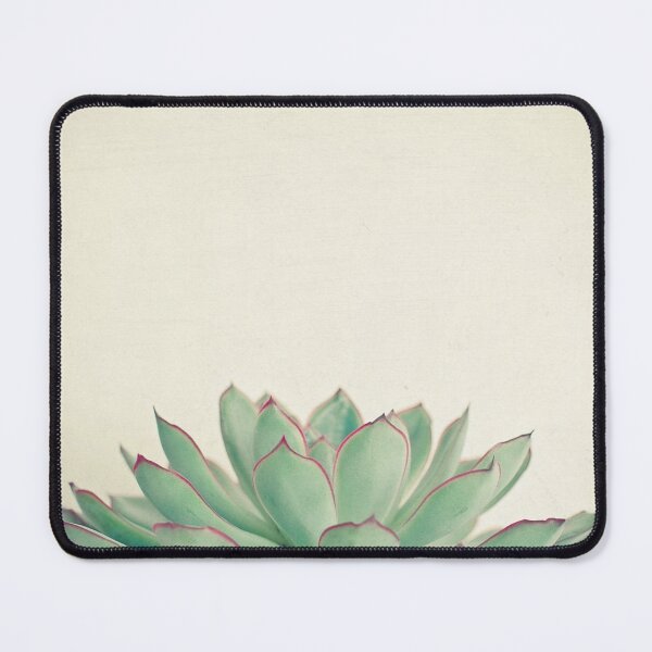 Item preview, Echeveria designed and sold by Cassia Beck.