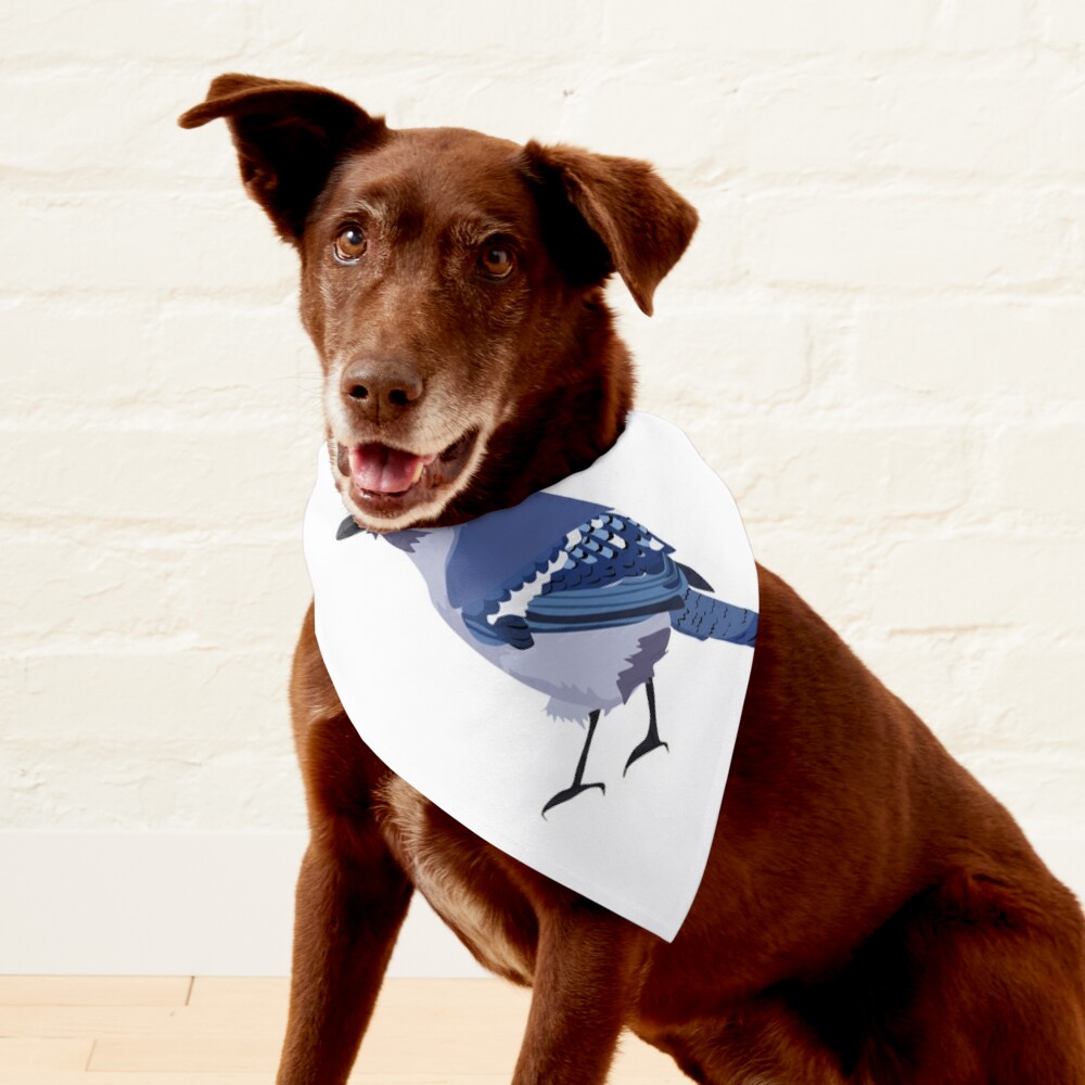 Blue Jay Pet Bandana for Sale by Mjm36