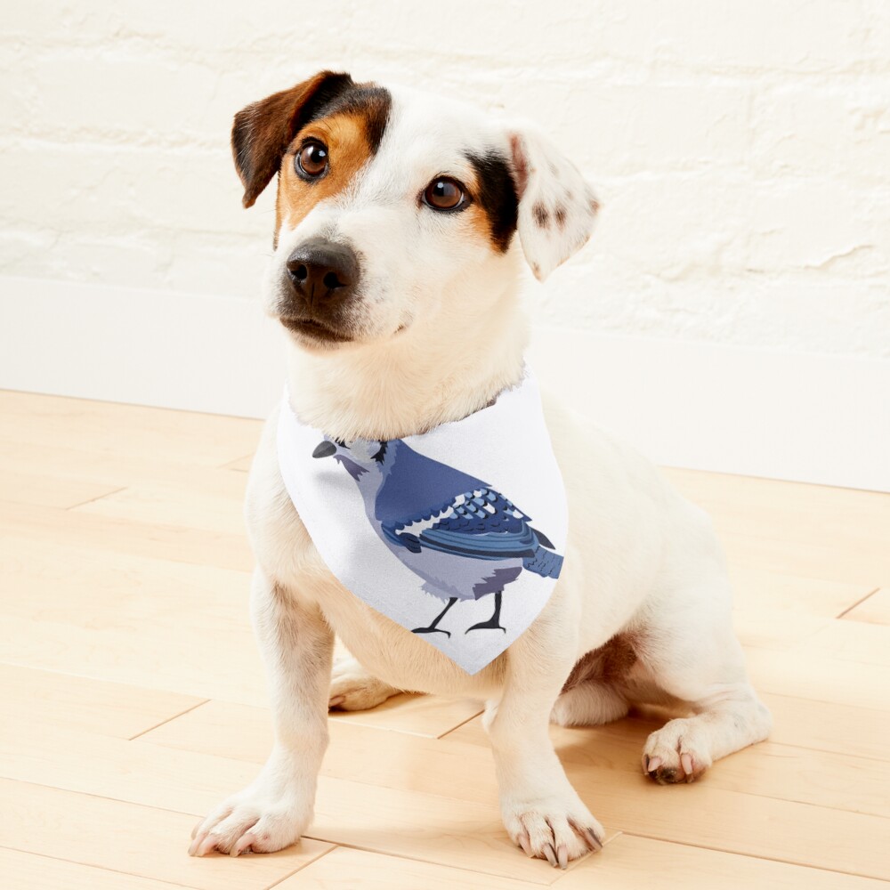 Blue Jay' Dog Bandana