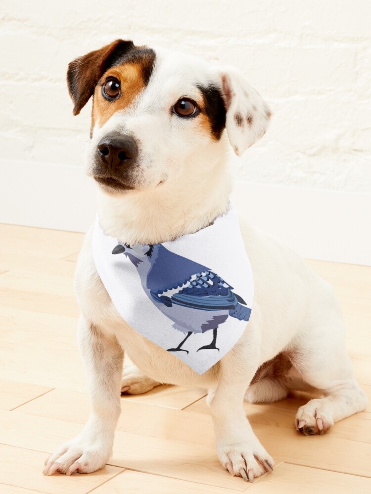  Blue Jay Bird Dog Bandanas Pet Scarf Cat Triangle Kerchief Soft  Handkerchief : Pet Supplies