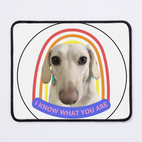 Item preview, Homophobic Dog Whitney Chewston I Know What You Are designed and sold by eggsforeggs.