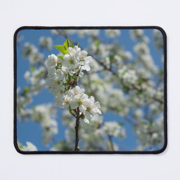 Item preview, blooming designed and sold by TeresaYoung9.