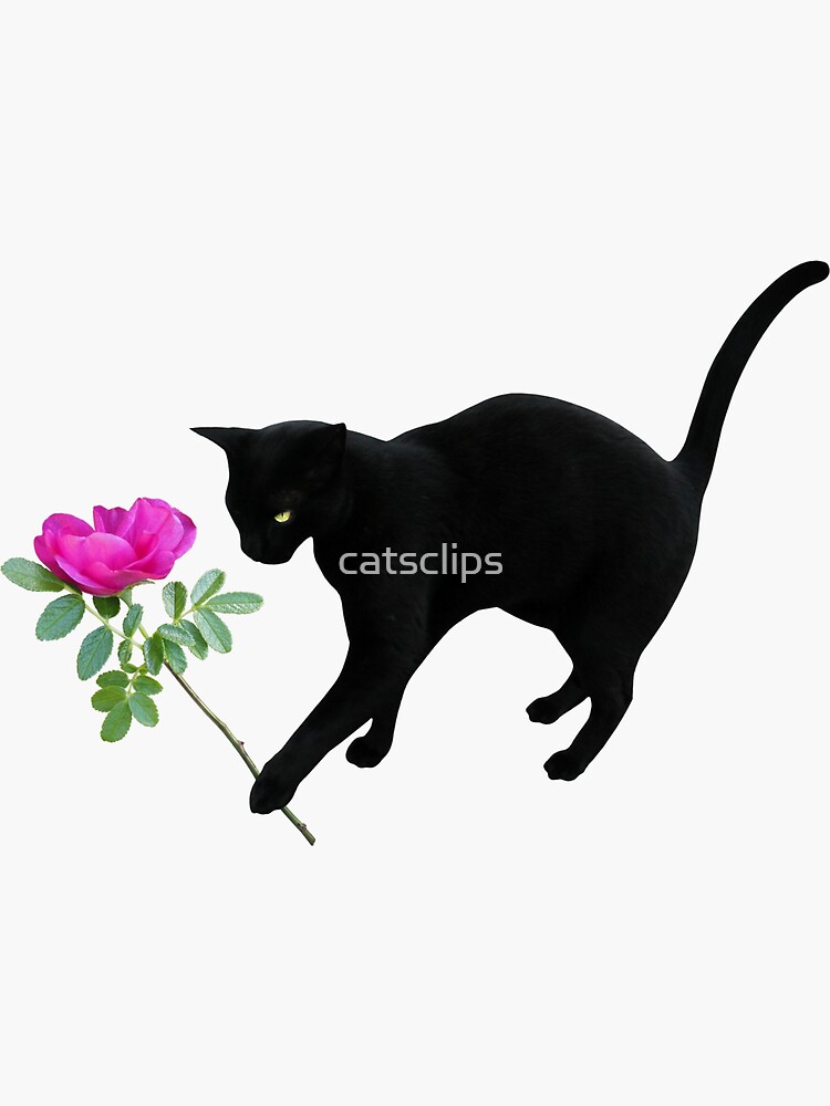 "Black Cat Rose" Sticker for Sale by catsclips Redbubble