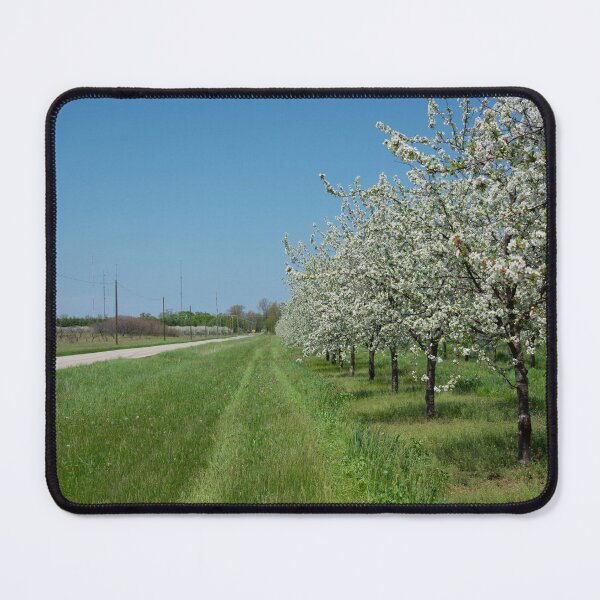 Item preview, blossoms for miles designed and sold by TeresaYoung9.