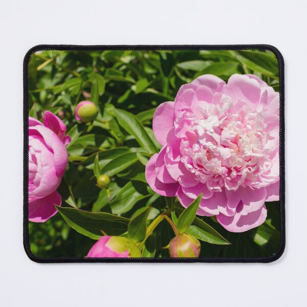 Item preview, pretty in pink designed and sold by TeresaYoung9.
