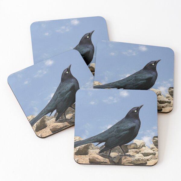 Item preview, Blackbird on the Rocks designed and sold by heatherfriedman.