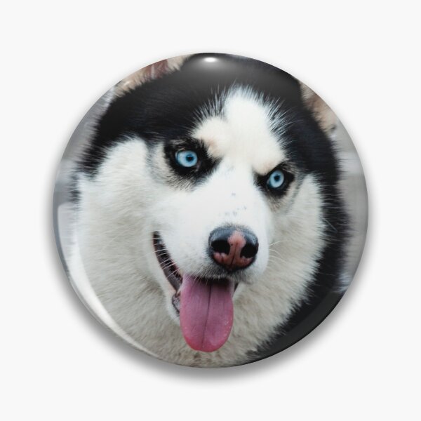 Item preview, ANIMALS #23 - Perky Siberian Husky with Tongue Hanging Out designed and sold by DEL-Productions.