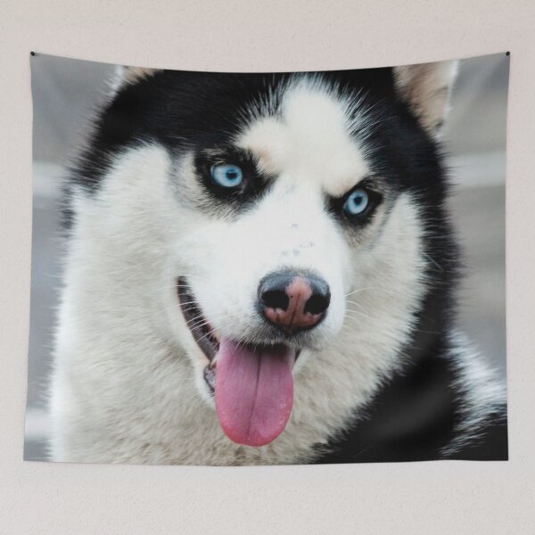Item preview, ANIMALS #23 - Perky Siberian Husky with Tongue Hanging Out designed and sold by DEL-Productions.