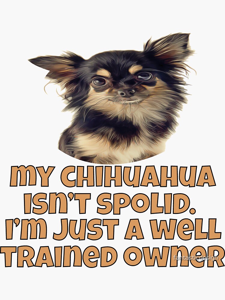 "Long Hair Chihuahua Gifts My Chihuahua Isn’t Spoiled" Sticker for Sale