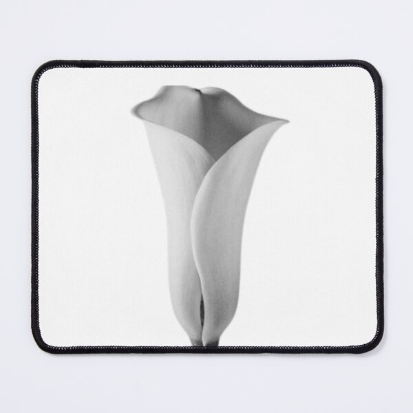 Item preview, White Rose designed and sold by DaveThings.