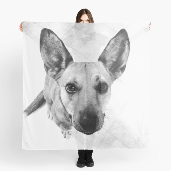 Carolina Dog Gray Pup - American Dingo Scarf