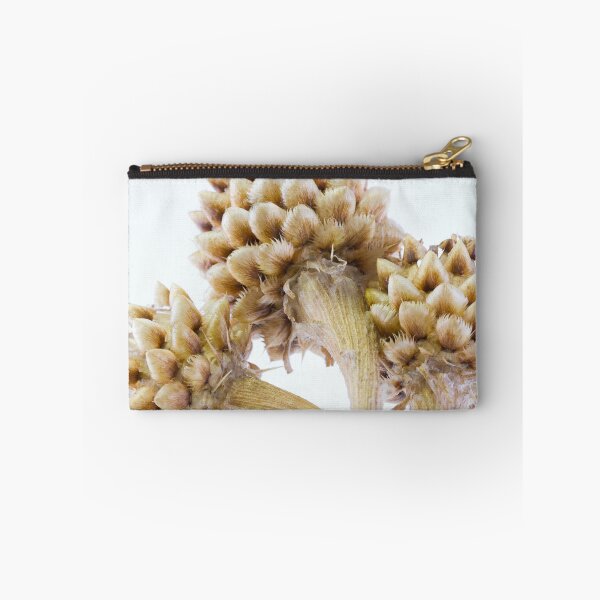 Item preview, Three Globe Cornflower Seed Heads - Macro designed and sold by Sandra Foster.