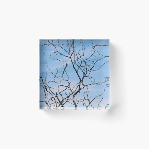 Item preview, Twisting Branches Against a Blue Sky designed and sold by RoseyElisabeth.