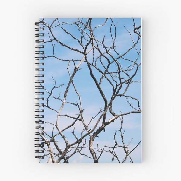 Item preview, Twisting Branches Against a Blue Sky designed and sold by RoseyElisabeth.