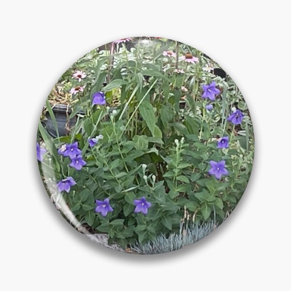 Item preview, Small Garden 2 designed and sold by mmcgui12gmu.