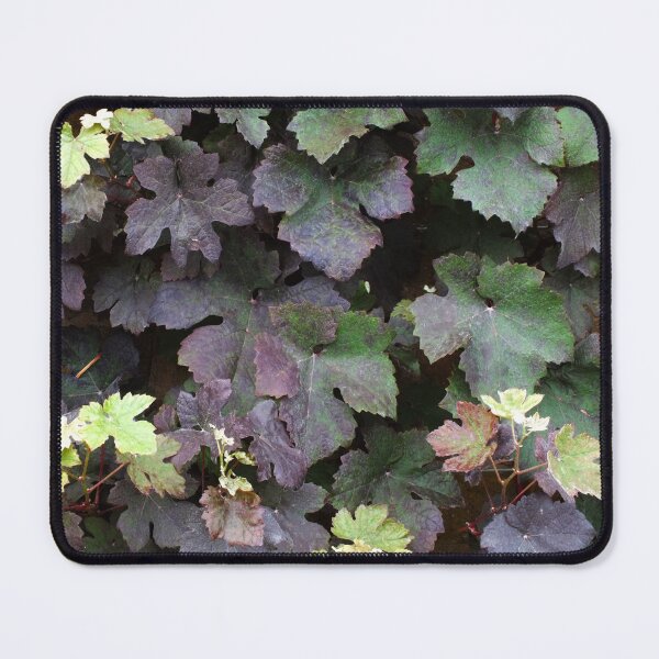 Item preview, Oh NO! not more Nonfluorescent Chlorophyll Catabolites  designed and sold by Yampimon.