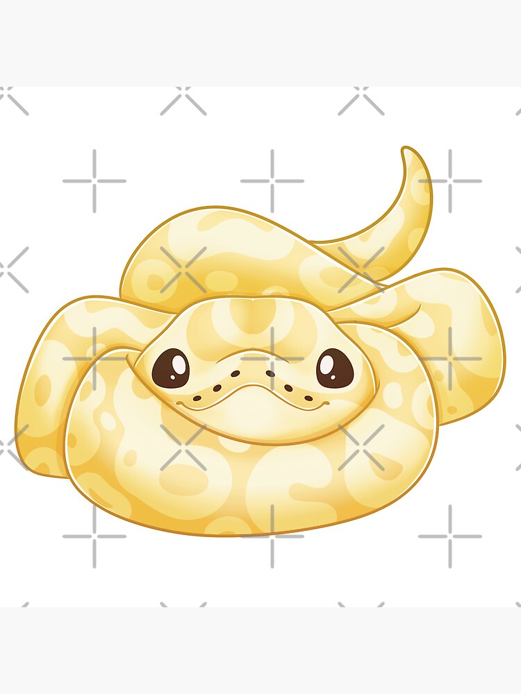 Burmese Python Drawing Snakes Ball Python - Cartoon Cute Snake Drawing, HD  Png Download - kindpng