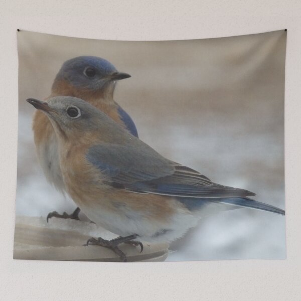 Item preview, Backyard Gossips- Blue Bird designed and sold by BeachyBird.
