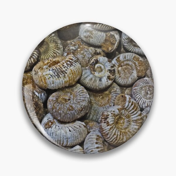 Item preview, Ammonites designed and sold by Yampimon.