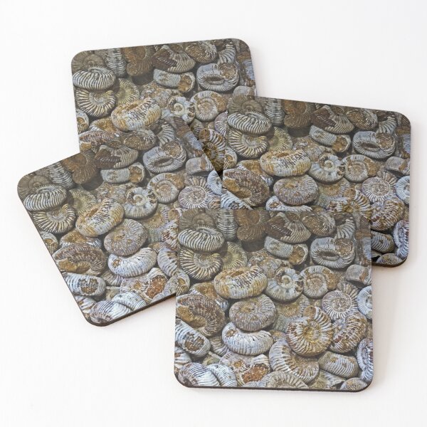 Item preview, Ammonites designed and sold by Yampimon.