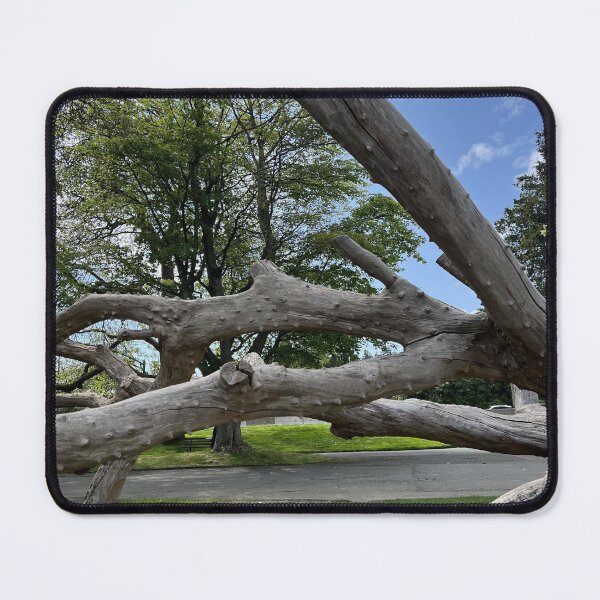 Item preview, Transverse Tree designed and sold by aledi7546.