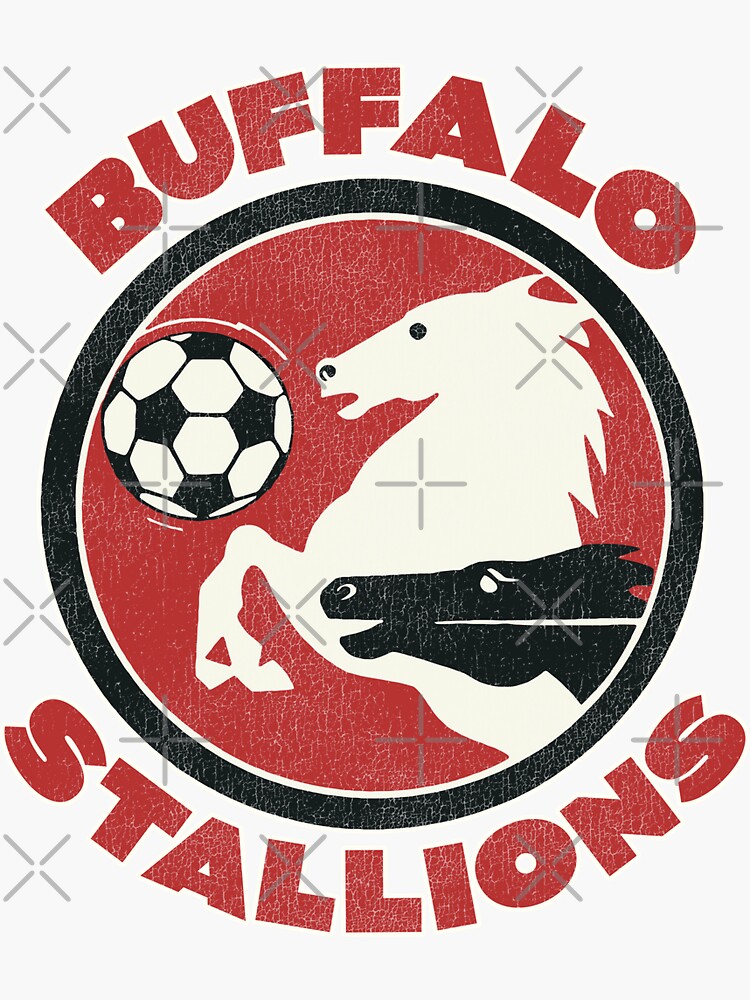 Buffalo NY 716 Zipcode  Sticker for Sale by habraszek