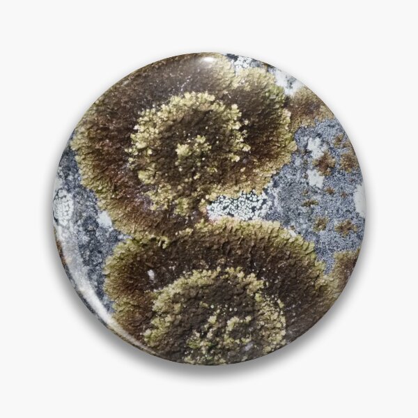 Item preview, Lichen Rose (pattern) designed and sold by Yampimon.