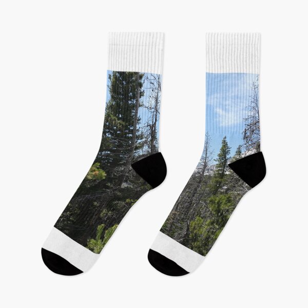 Item preview, Trees in the Forest designed and sold by Haley-Marshall.