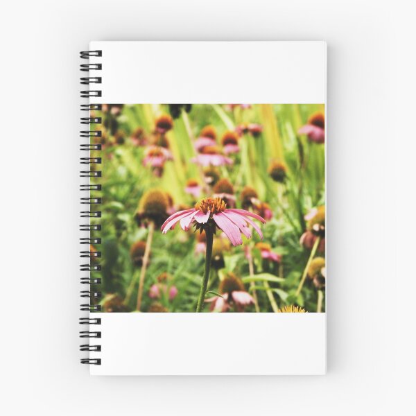 Item preview, echinacea bloom designed and sold by MomOfArtists.