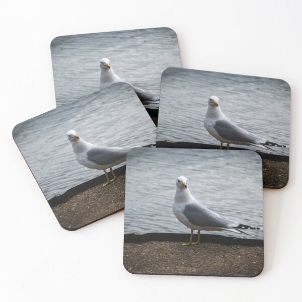 Item preview, Seagull in the Wild designed and sold by marcustpinney.