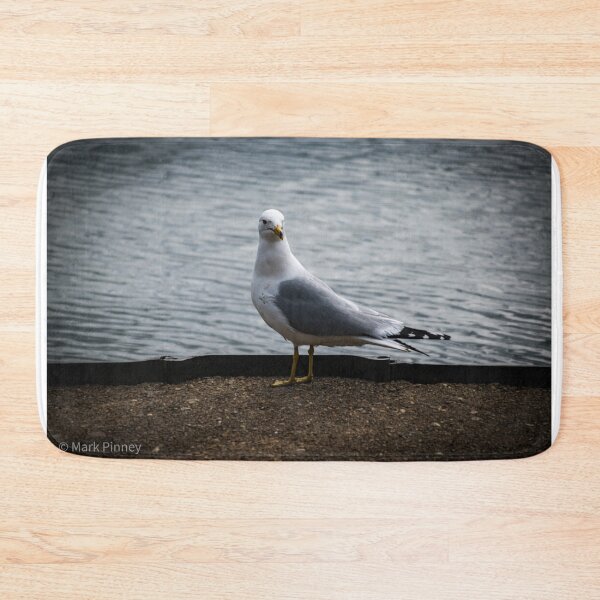 Item preview, Seagull in the Wild designed and sold by marcustpinney.