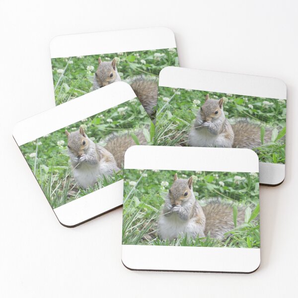Item preview, Go nuts designed and sold by CreativewithG.