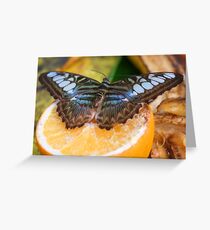 Peacefully Greeting Card