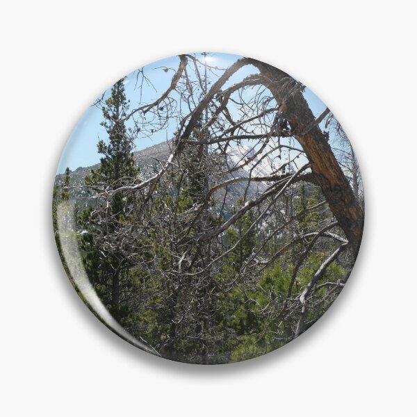 Item preview, A Tree in the Forest designed and sold by Haley-Marshall.