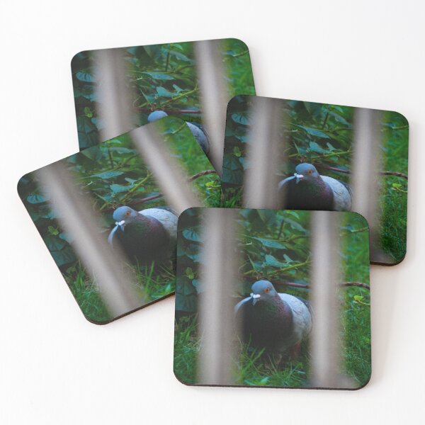Item preview, Pidgeon Behind Bars designed and sold by marcustpinney.