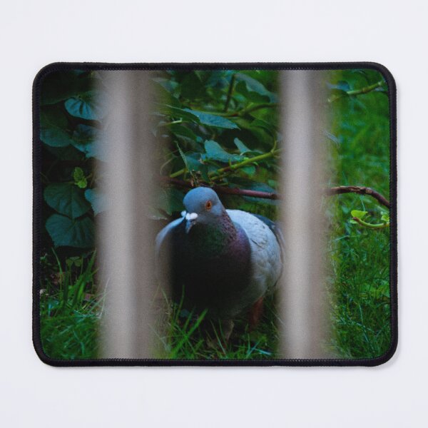 Item preview, Pidgeon Behind Bars designed and sold by marcustpinney.
