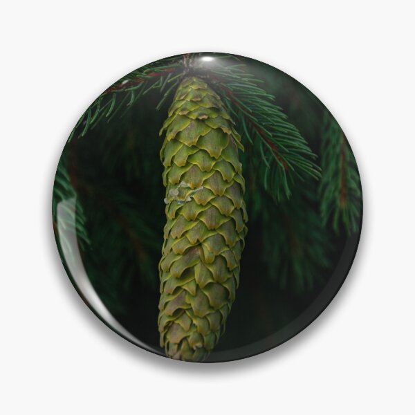 Item preview, Pinecone in Shadow designed and sold by marcustpinney.