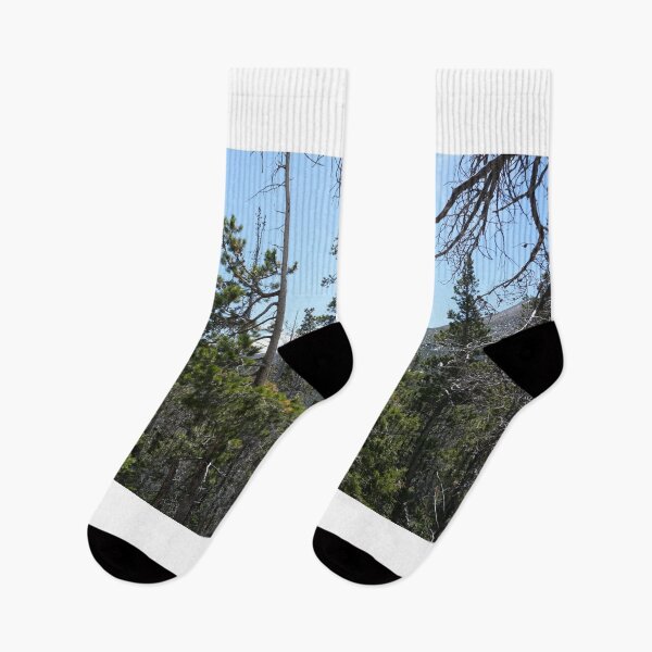 Item preview, Forest and Woods designed and sold by Haley-Marshall.