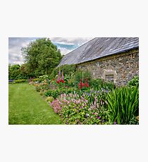 Irish Garden in bloom Photographic Print