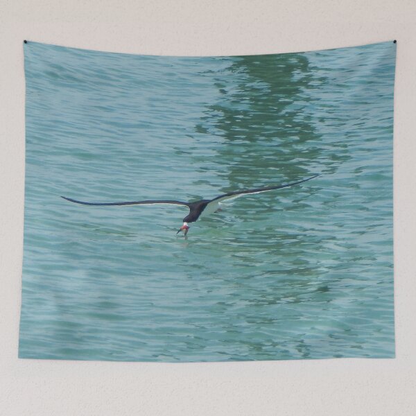 Item preview, Grace- Black Skimmer designed and sold by BeachyBird.