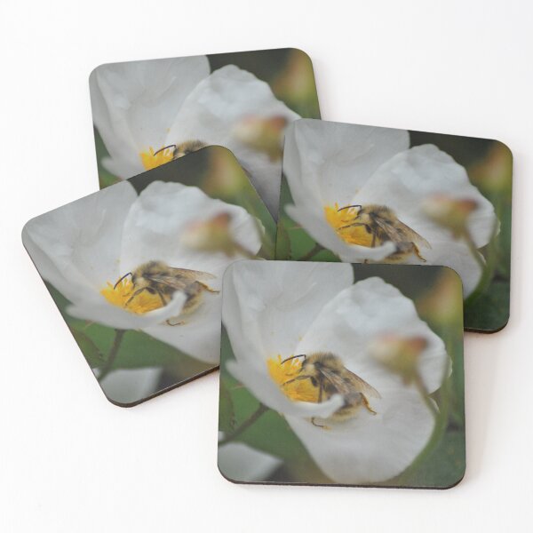 Item preview, Bee Collecting Pollen designed and sold by joelbakken39.