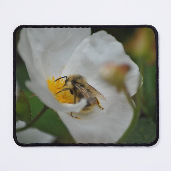 Item preview, Bee Collecting Pollen designed and sold by joelbakken39.