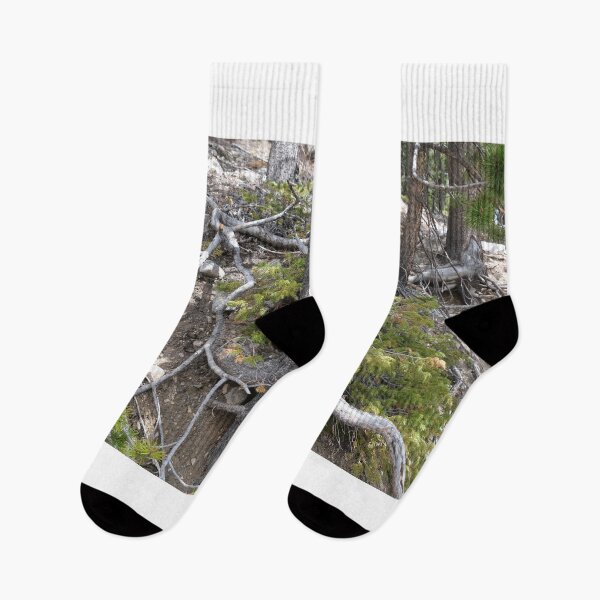 Item preview, Tree Roots on a Mountain designed and sold by Haley-Marshall.