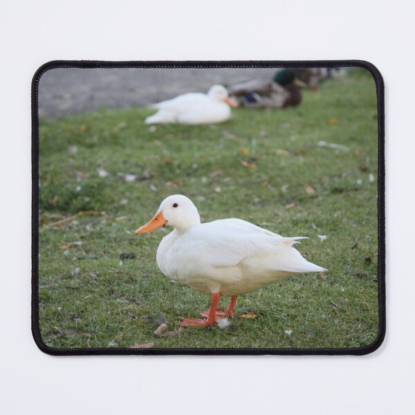Item preview, White As A Cloud (Or Whiter?) designed and sold by LPYLPhotography.