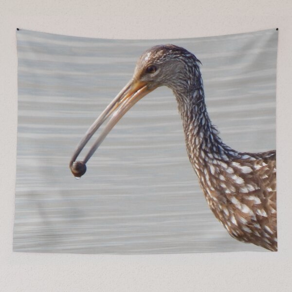 Item preview, Lunch at the Beach- Limpkin designed and sold by BeachyBird.