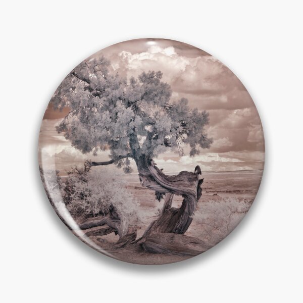 Item preview, Twisted Desert Tree Photography designed and sold by Tjokko-chan.