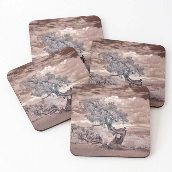 Item preview, Twisted Desert Tree Photography designed and sold by Tjokko-chan.