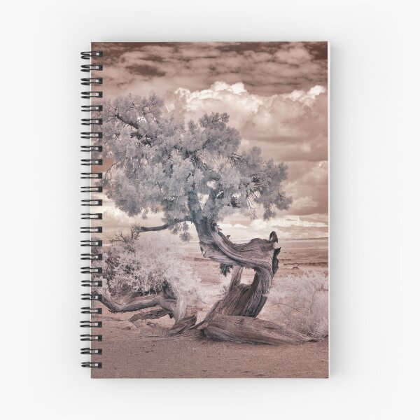 Item preview, Twisted Desert Tree Photography designed and sold by Tjokko-chan.