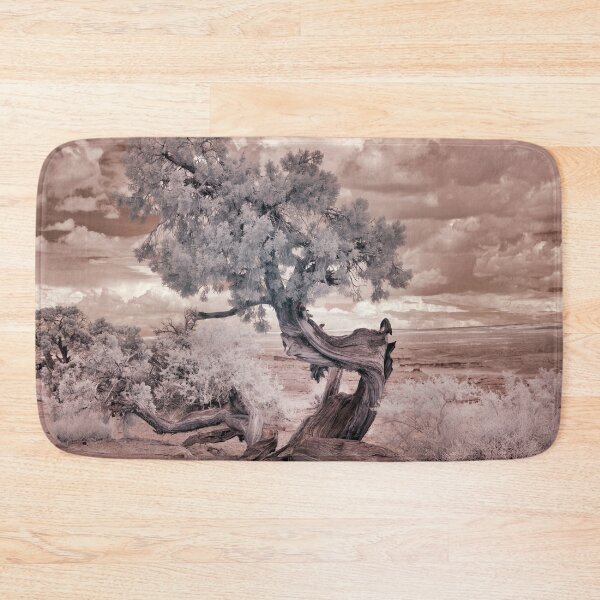 Item preview, Twisted Desert Tree Photography designed and sold by Tjokko-chan.